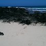 Fuerteventura-Corralejo-Dune-Spiaggia5