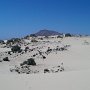 Fuerteventura-Corralejo-Dune1