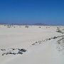 Fuerteventura-Corralejo-Dune4