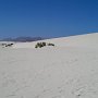 Fuerteventura-Corralejo-Dune9