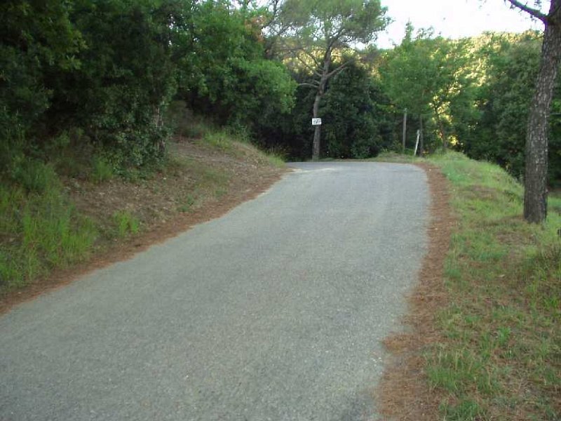 E42-Strada.JPG - STRADA STERRATA VERSO POGGIO VALICAIA