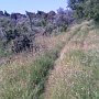 OFF ROAD DIREZIONE ARTIMINO