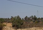 L114-Djerba-Oasi