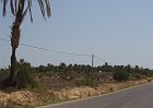 L115-Djerba-Oasi