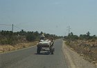 L116-Djerba-Oasi
