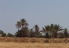 L118-Djerba-Oasi