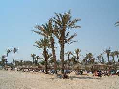 Vista della Spiaggia di Djerba - Clicca x Ingrandirla