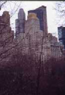 Grattacieli dal Central Park - Clicca per Ingrandirla